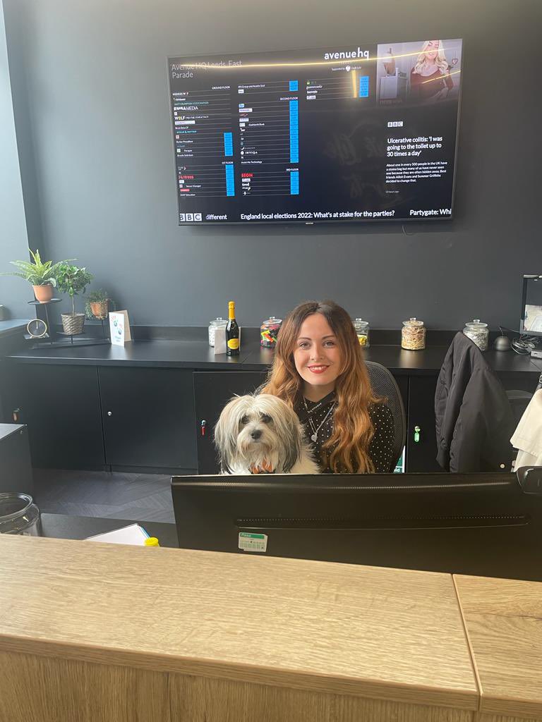 What do you think of our new receptionist Paquito?😍

10/10 for cuteness and customer service skills!🐶

#leeds #coworking #officespace #dogfriendly