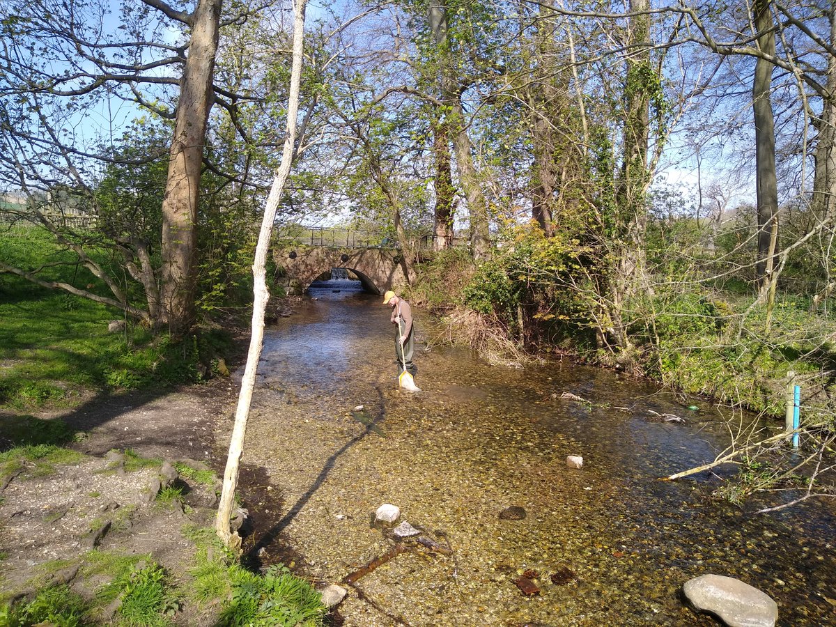 RiverComms's tweet photo. What gorgeous day to be out in the field! James and Amanda are collecting samples to monitor the ecological condition of the #Misbourne #ChalkStream https://t.co/eV5ChiI61w