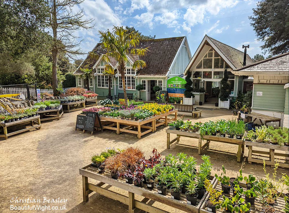 Beautiful Wight tweet media