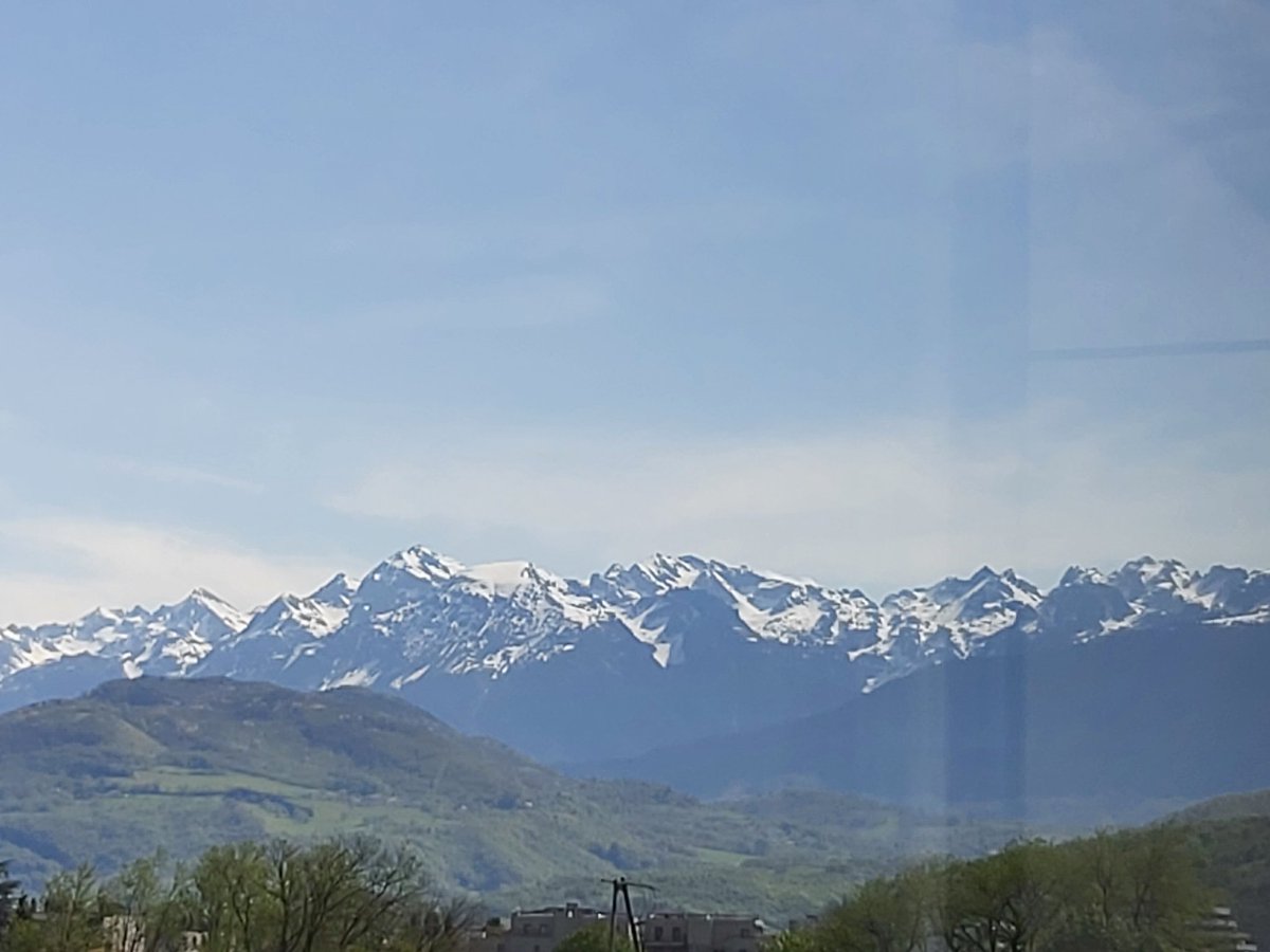 T Management tweet media