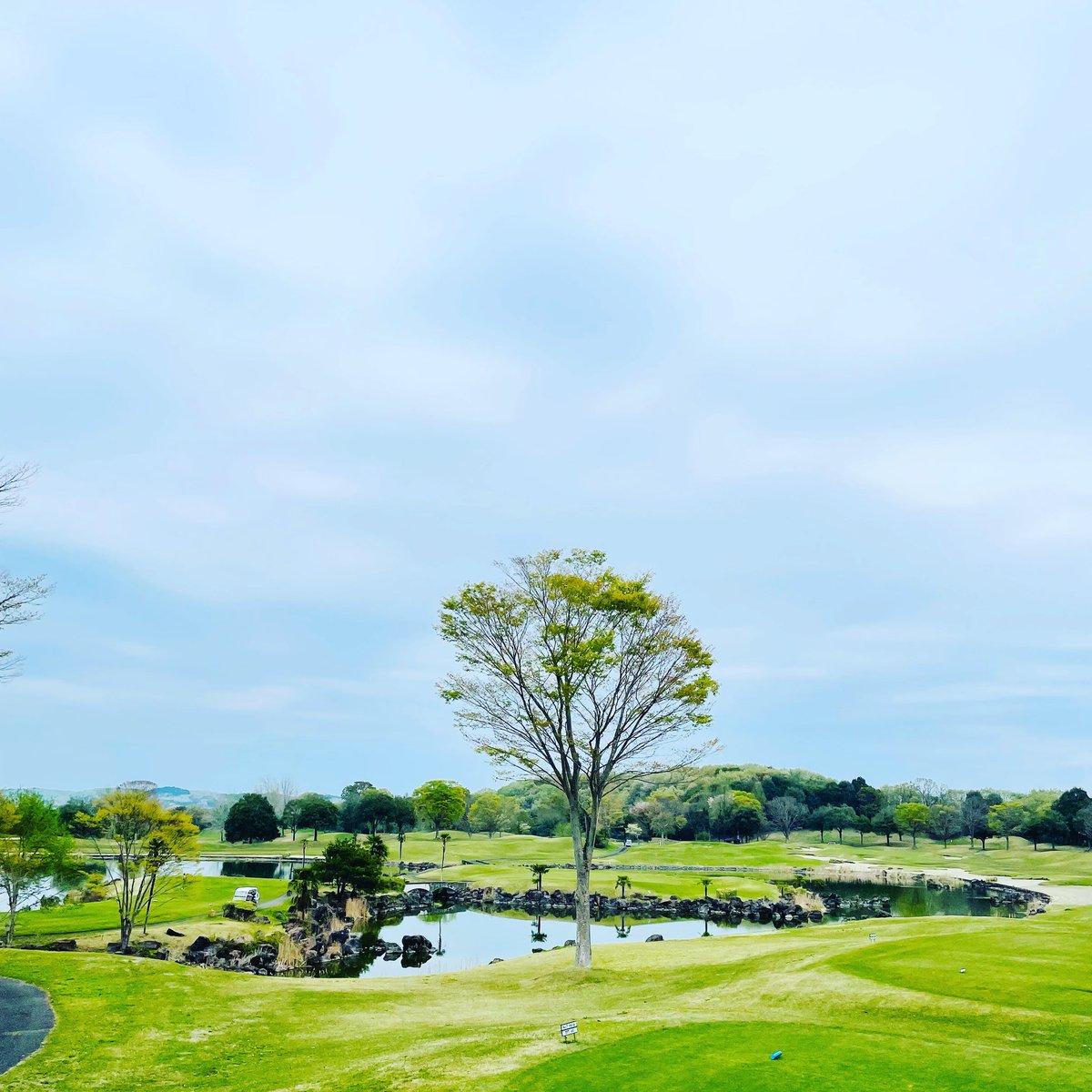 BB_Y's tweet photo. ゴルフ⛳️

今日はＧ７カントリー倶楽部での
ラウンドでした🏌️‍♂️

ドライバーの調子が良くなかったもののアイアンショットとアプローチでカバー出来ました！グリーンは仕上がってませんでした💦

#ゴルフ 
#G7カントリー倶楽部 
#グリーンが残念 
#バックティ 
#OUT48 
#IN46 https://t.co/26GRFb3pVy