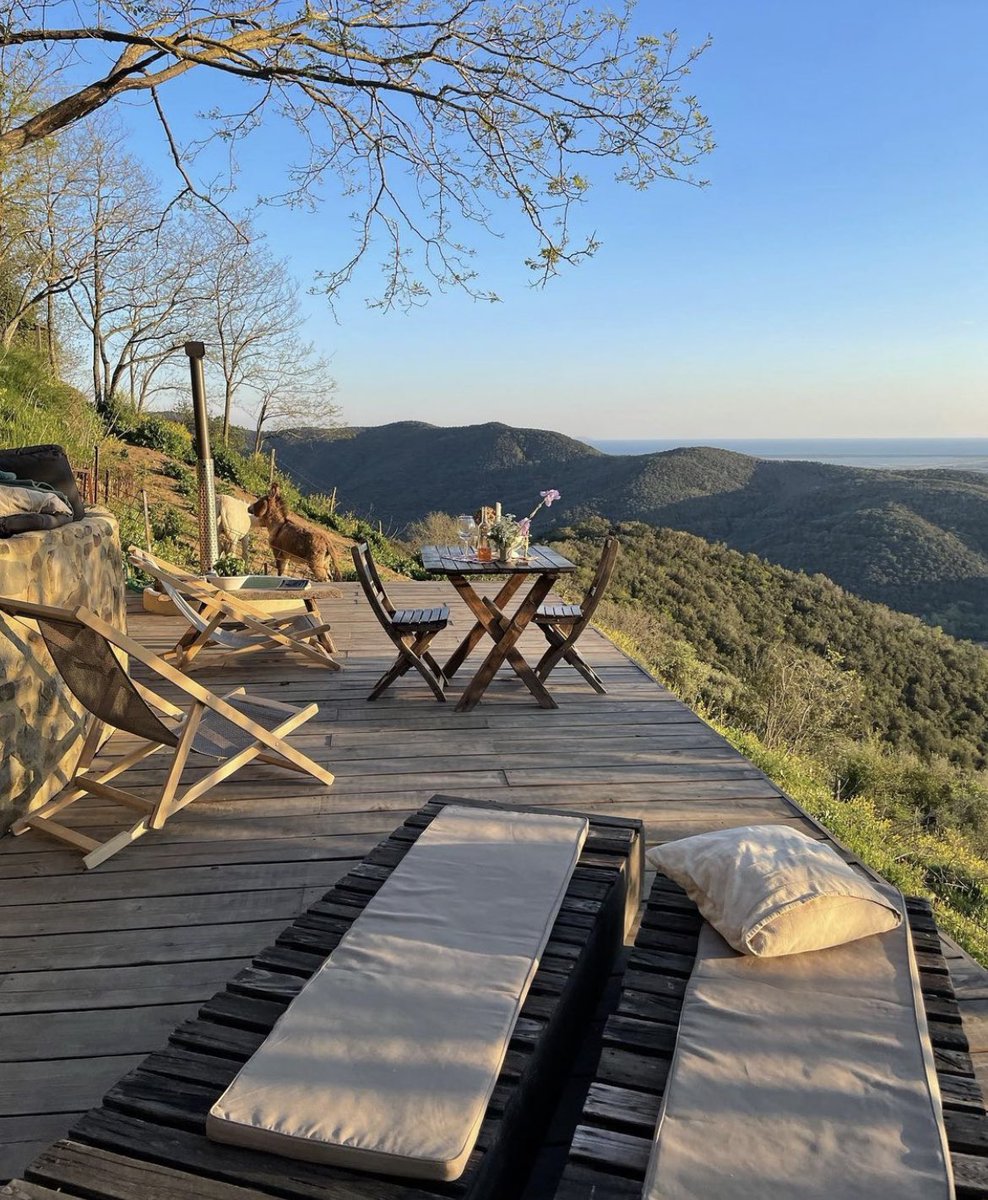 tmbIrpics's tweet photo. Perfect place for an afternoon in the sun 🌞 https://t.co/ZvDEBQApWW