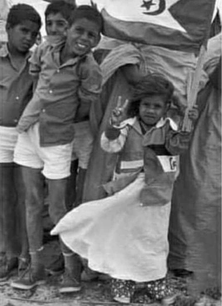 khadi Ahmaim 🔻🇪🇭 خديجة سيدي محمد ابراهيم أحميم tweet media