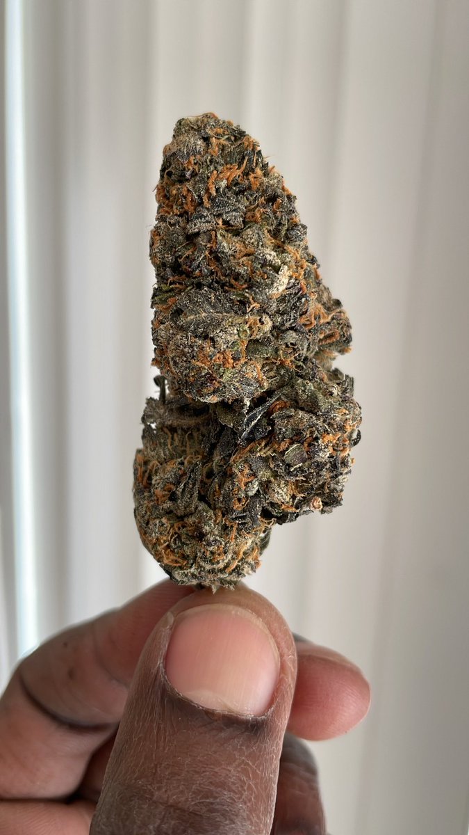 KingNikolii's tweet photo. Happy 420 #HawksPack edition
“shit will have you delusional” 🤣 https://t.co/uaVmLYs3hU