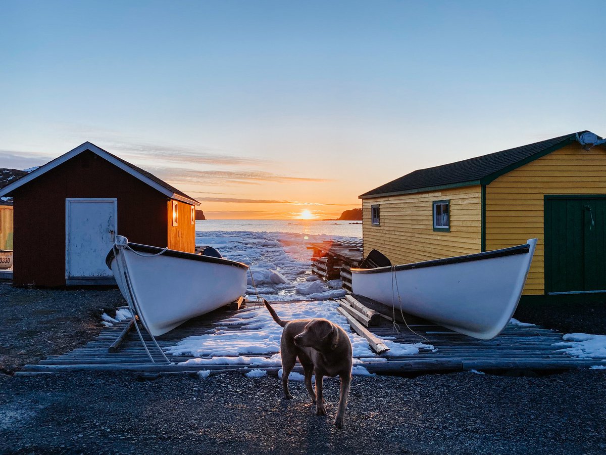 N Emberley tweet media