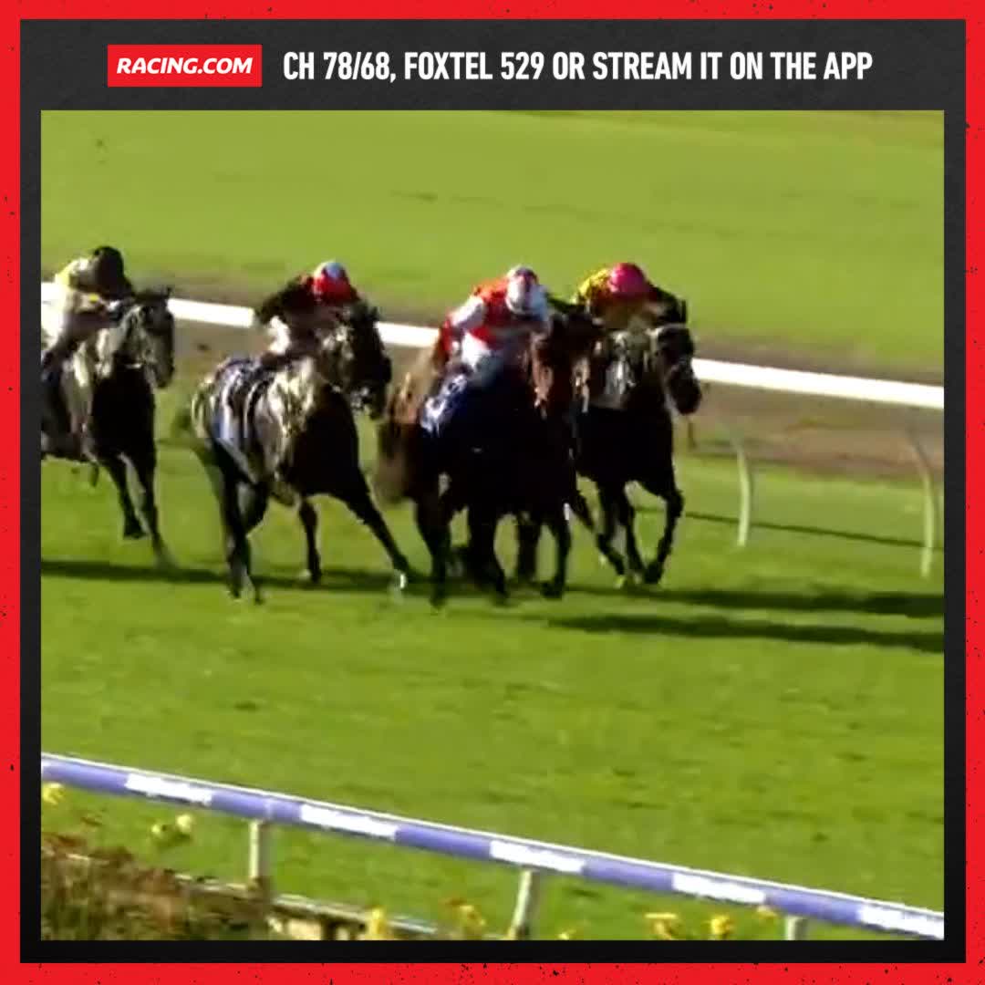 on Twitter ""Stay In Touch is pulling clear to win again