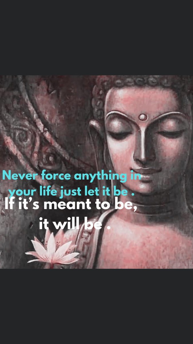 megitanner's tweet image. 