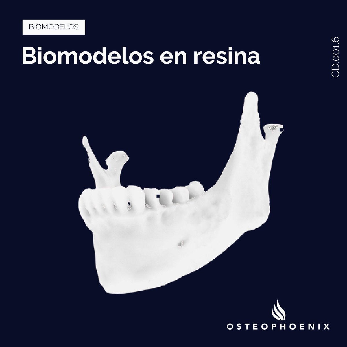 OsteophoenixSL's tweet photo. En #Osteophoenix queremos facilitar y disminuir el tiempo en quirófano para obtener mejores resultados, para ello ofrecemos #biomodelos a medida del paciente utilizando diferentes tecnologías en 3D. 
#cirugiabucalymaxilofacial #cirugiabucomaxilofacial #biomodelosenresina https://t.co/coQUaK49Y2