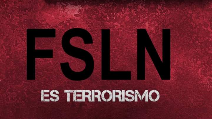 Sakuravandalico's tweet image. Vos sos una Bestia en dos patas 🐸👍