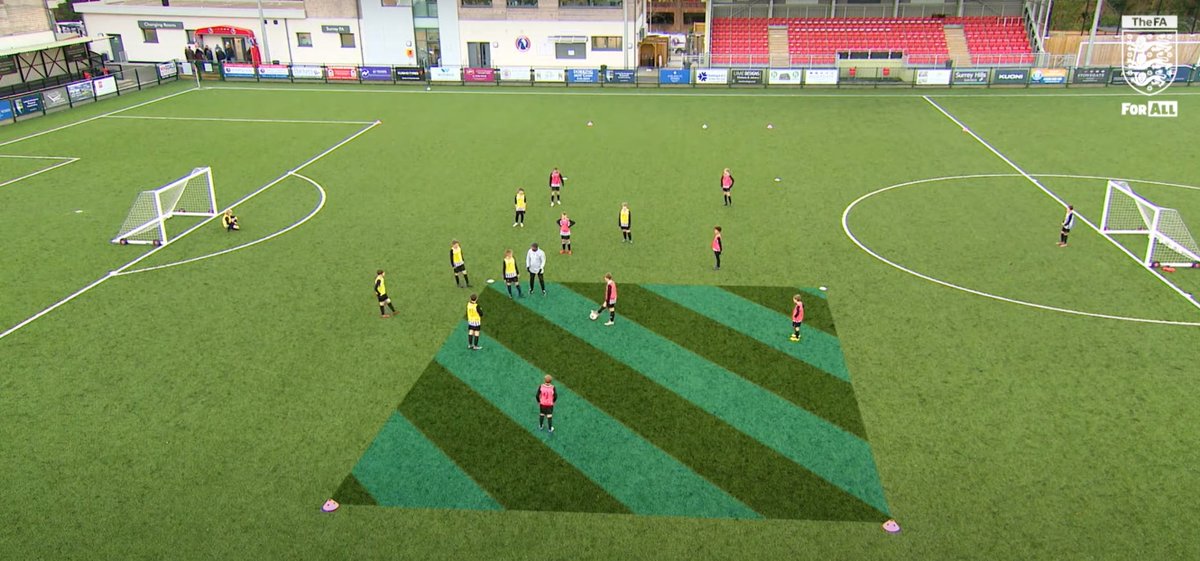 pro training for all players