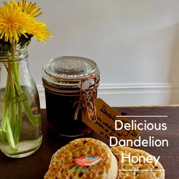 1/2It's a beautiful #morning #outside & a thick carpet of #dandelions is telling me that it's #dandelionhoney time (aka #dandelionjelly). Super sweet, delicious & fun to make with the whole #family. Let's get #foraging for #dandelion! Link in 2/2 @CreativeSTAR @IERammy @LeedsAHWN