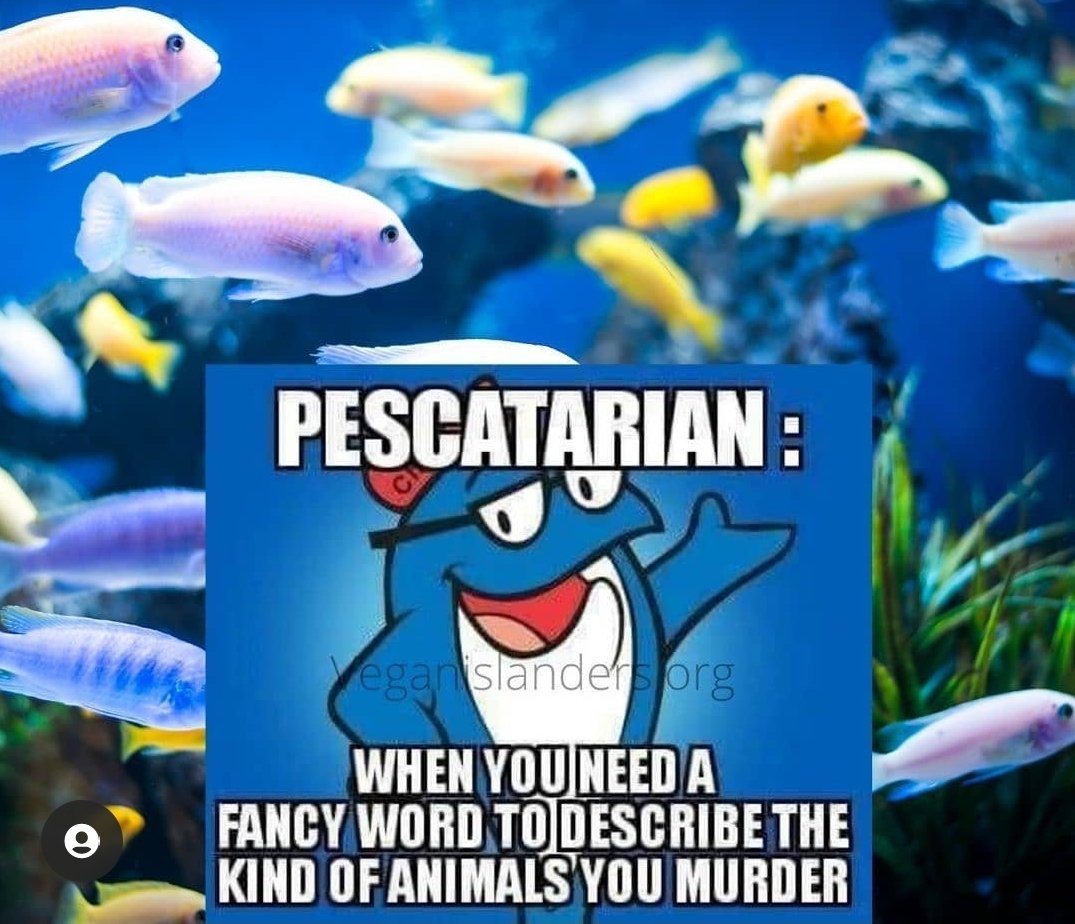 Healthy intake of mercury levels is actually 0/ZERO.

#Pescetarians/#Pescatarians AKA Sea-animal-eaters, did you know that? Eating fishes corpses is high in mercury, so maybe you should reconsider your fishes cadavers consumption. Also, watch #Seaspiracy on Netflix. #FishFeelPain