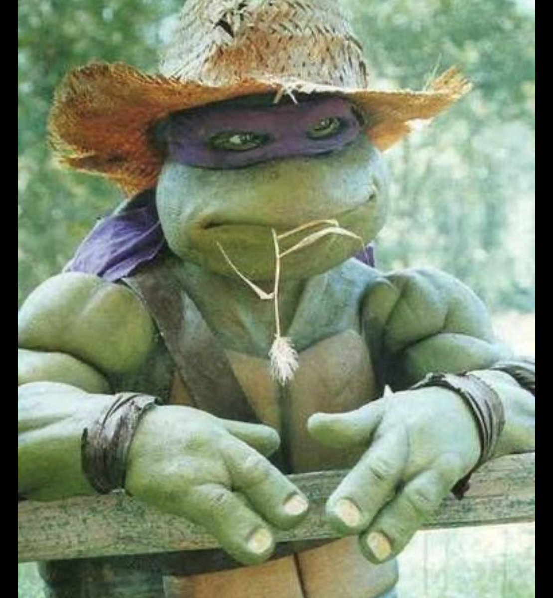 Umar Rahman tweet media