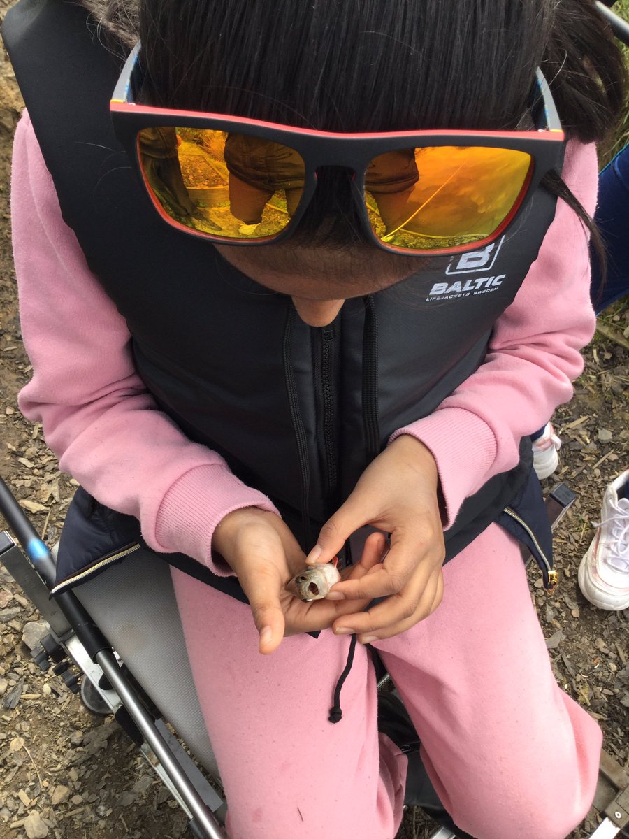 Gaskell Primary School (@gaskellprimary) on Twitter photo Our Y5 anglers learn about taking care of the fish. They looked at the differences between the perch, rudd and tench they caught. The pupils all said they enjoyed the outdoor calmness of the session. <a href="/Offthescaleoe/">Off The Scale Outdoor Education</a> Our Y5 anglers learn about taking care of the fish. They looked at the differences between the perch, rudd and tench they caught. The pupils all said they enjoyed the outdoor calmness of the session. <a href="/Offthescaleoe/">Off The Scale Outdoor Education</a>