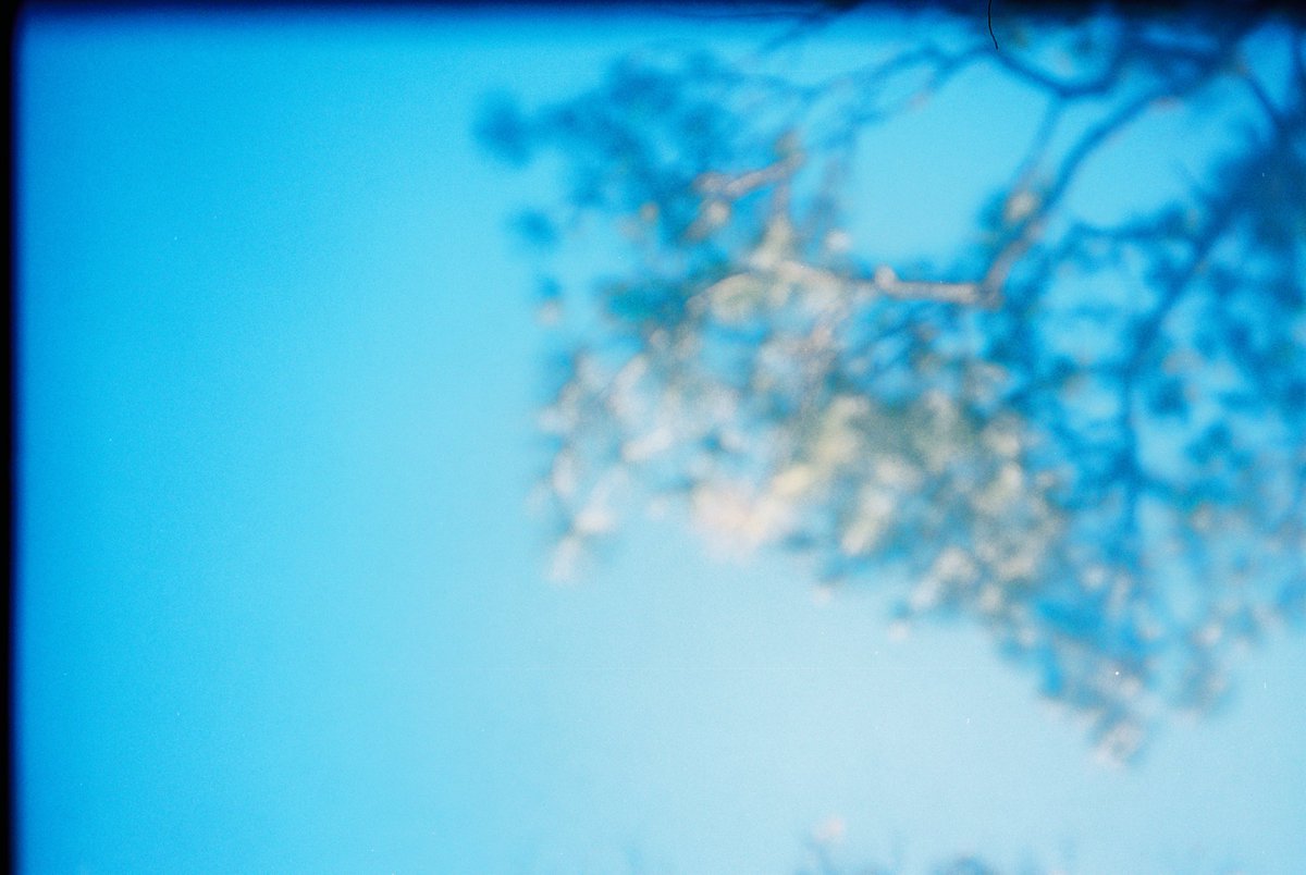 nomadico6's tweet photo. Happy 420 wish the world to be better for everyone 🏞️ #420day
Let's get high🔥💨🏞️☀️
(Cannabis help me with depression and anxiety🤕)
#CleanNFT #tezosart #NFTCommmunity #photographyNFT #photography https://t.co/WJPkT2wG93