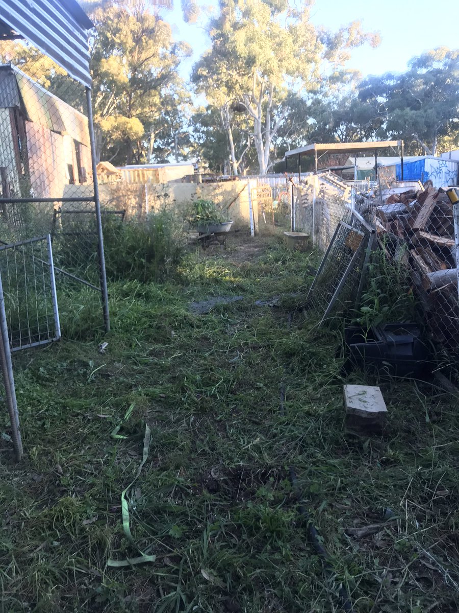 Sarahboppitybop's tweet photo. Definitely far from finished. But gosh it’s good to do a before &amp; after shot, to make you keep going. 

With all the rain we’ve had over summer the weeds in this area have been neglected because I’ve kept my focus on mowing the rest of the yard. #wintercleanup https://t.co/8DneBM4UMA