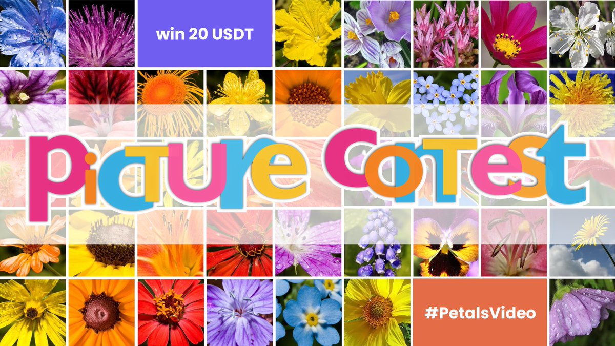 PetalsVideo's tweet photo. 🌈Now it's time to have some fun!🌈

Let's prepare petals pictures around the world, the best will get the prize 🌺

Post a picture here and add the hashtag #PetalsVideo.

Chance to win 20USDT X 5 winners! 🤩

The pictures are accepted until April 24, 12 PM UTC ⏰ https://t.co/9CVsewca6s
