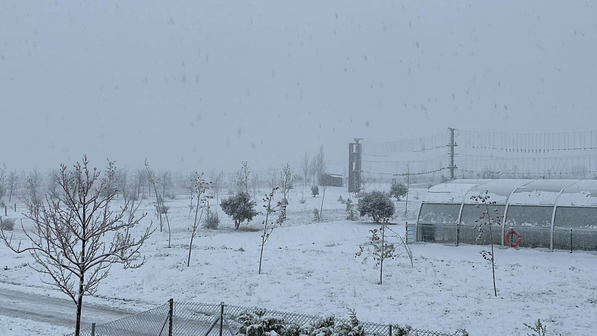 ColegiosElValle's tweet photo. Disfrutando de nuestro primer día de #convivencias.
Amanece nevado❄️ ¡Precioso!
#ColegiosElValle #EducaciónPrimaria #Granja #Duruelo #Segovia #4EPB #4EPD #4EPF #SCH #ElValle https://t.co/01XoLTTljf