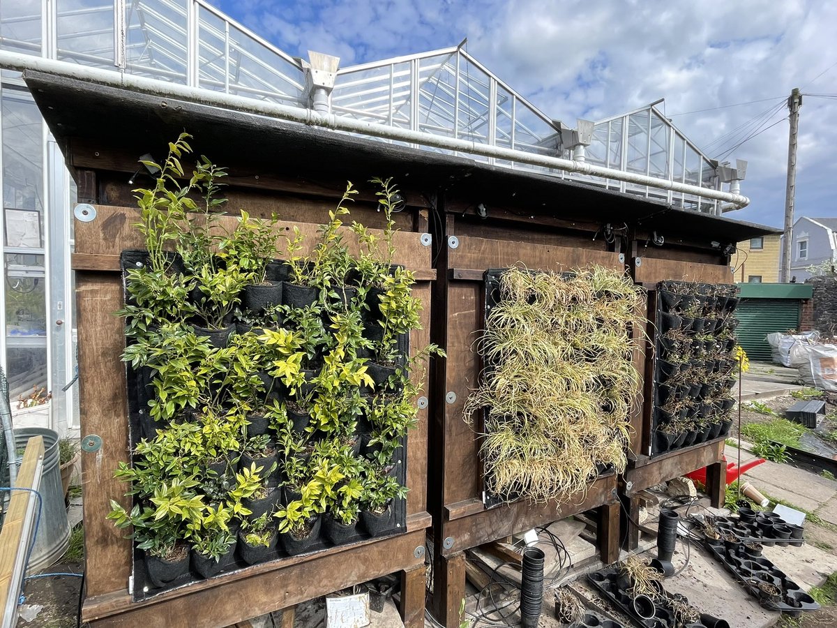Great progress yesterday. Plants and soils now in greenwall modules and climate chambers up and running for testing! @PlymEarth @EnvSciPlymUni @PlymUni @Soil_Science @ECSoil_Sci #GreenWall #spring #plants #Livingwalls #lowcarbondevon #ClimateChange #soils #sustainabledevelopment