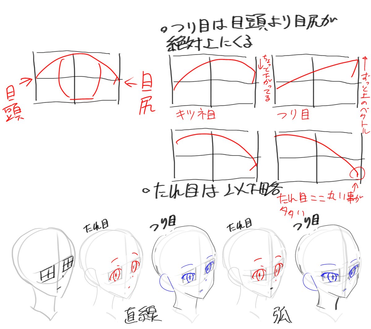 顔の十字ラインについてのあれこれ覚え書き 