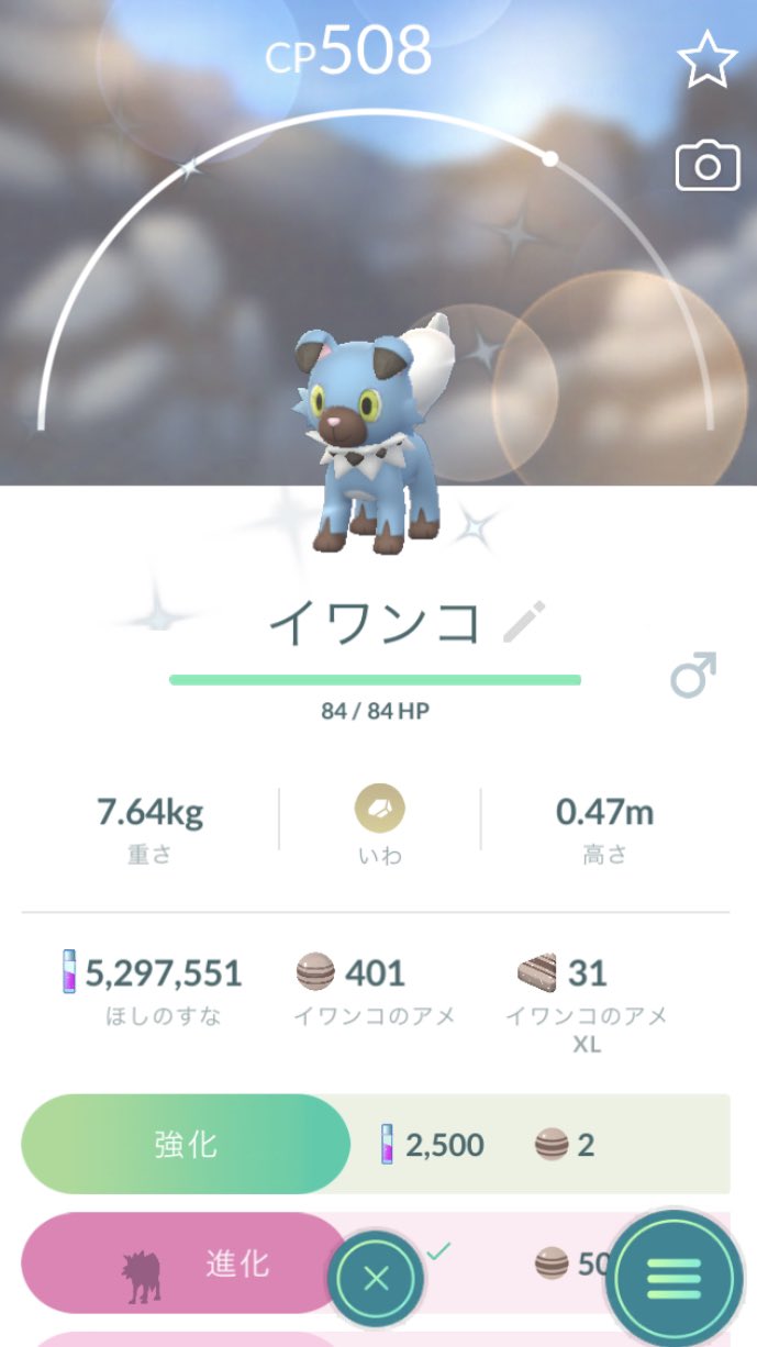 アルナスライン En Twitter イワンコ色違い２体目ゲット ポケモンgo イワンコ 色違い T Co Lzihqqfmqp Twitter