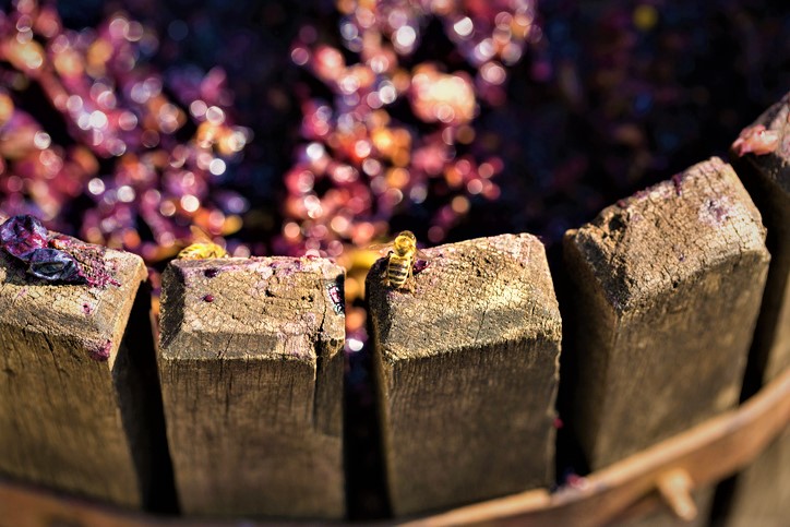 wineworldnews's tweet photo. very interesting article 💪🍷🍇
 The basket press comes back to Burgundy https://t.co/c4xX5puCN3 from @worldoffinewine &amp; @TheEnglishNose #wine #vins #bourgogne #burgundy @winewankers @jamiegoode @janeansonwine @SteveKubota @damewine @LizPalmer_Wine @LizGabayMW @VinsdeBourgogne https://t.co/JPQYJNUfX9