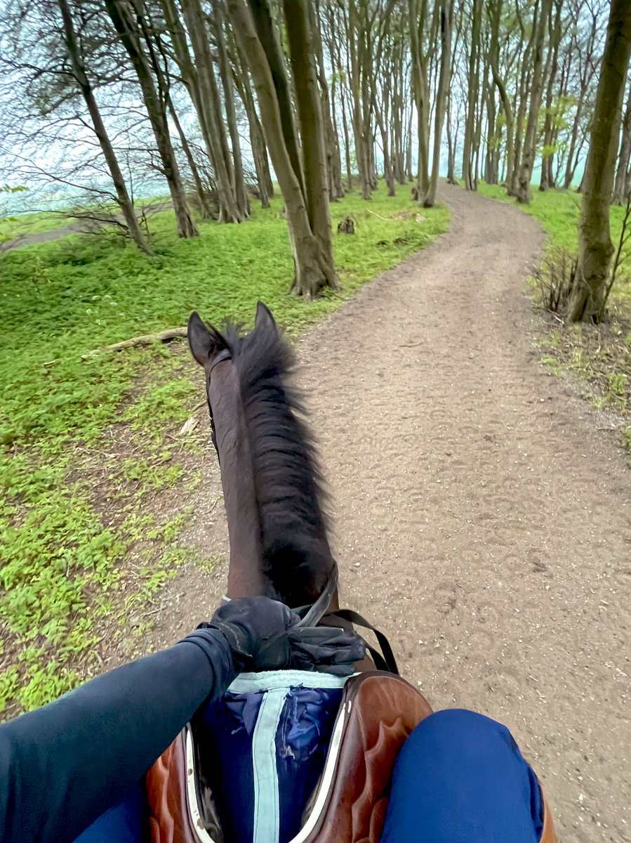 ifandbutwhynot's tweet photo. last ever ride on the best boy 🥺😭❤️ thanks for the best memories bud #burrowsedge https://t.co/M19LGJDJuI