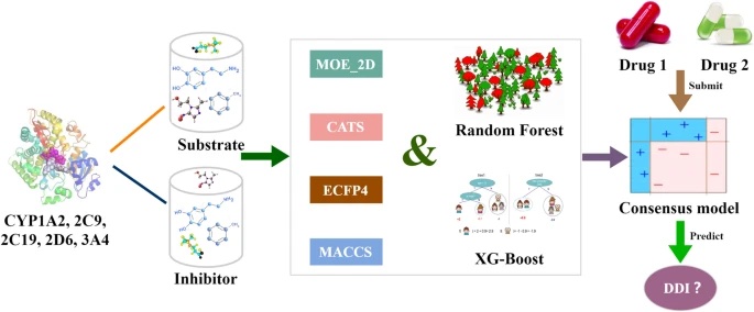 new: "Machine learning to predict metabolic drug interactions related to cytochrome P450 isozymes" jcheminf.biomedcentral.com/articles/10.11…