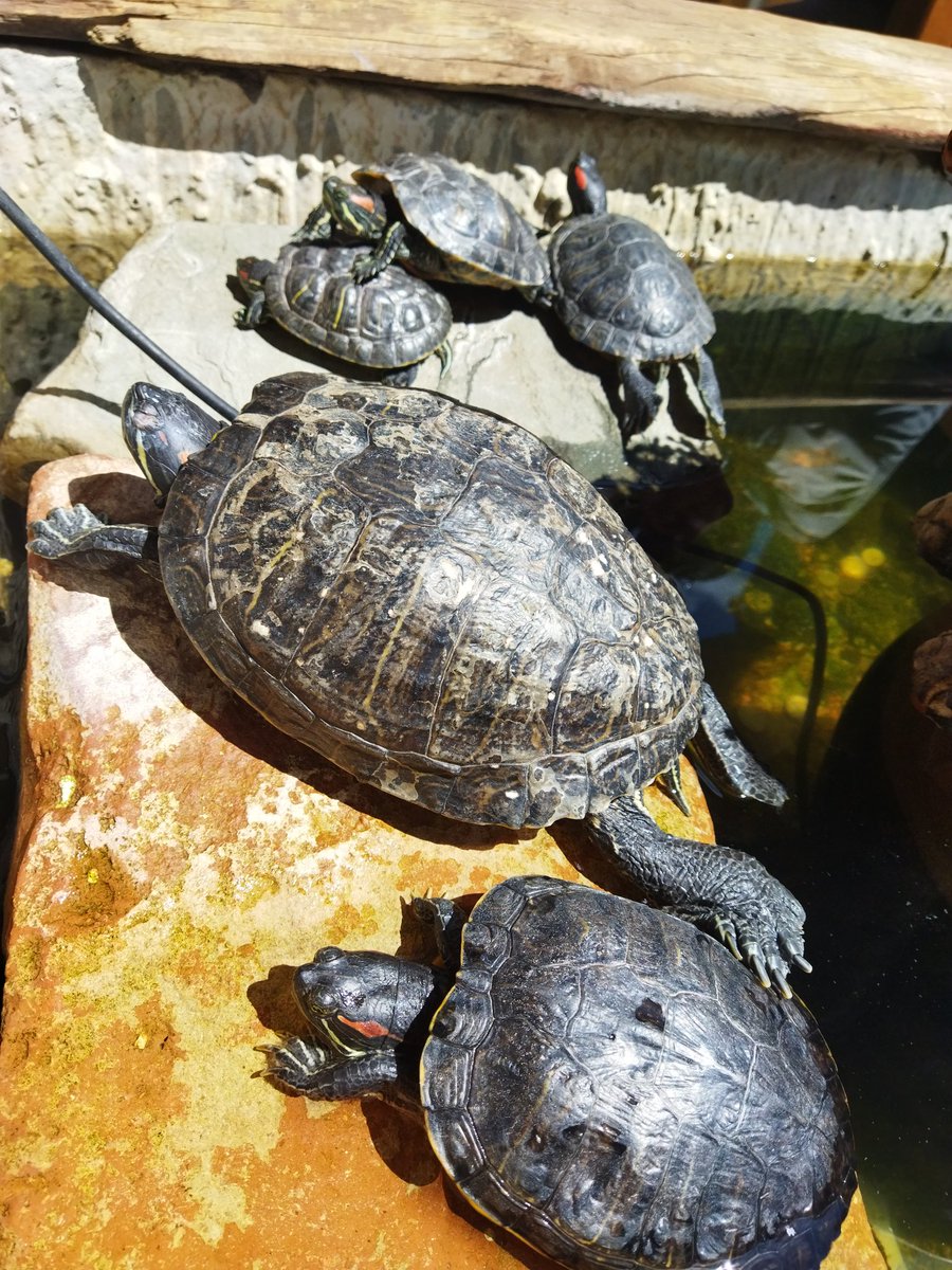 Ve güneşin tadını çıkaranlar var.