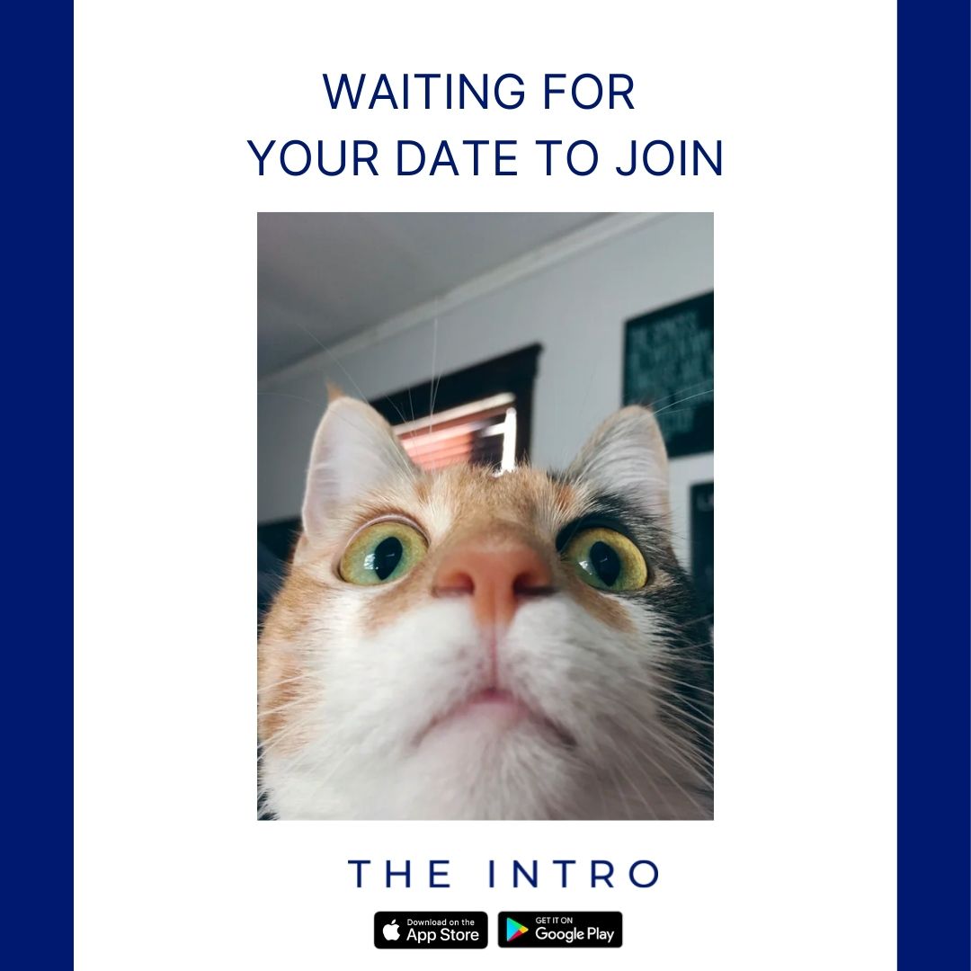 TheIntroApp's tweet image. 