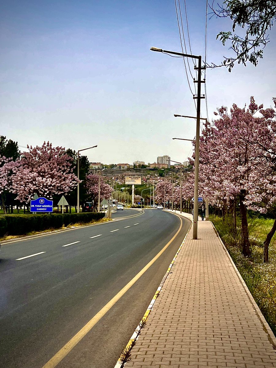 Şu anı geriye bakan insanlar anlar.💐