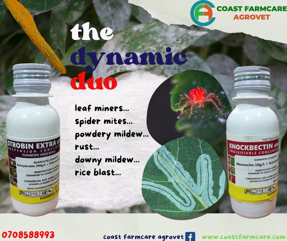 Watermelon, tomatoes and for your vegetables, prophylaxis and treatment of the most common fungal diseases and pests. Use 'the dynamic duo', Strobin extra and Knockbectin combo. Wearing a smile all the way to the bank.
#Farming
