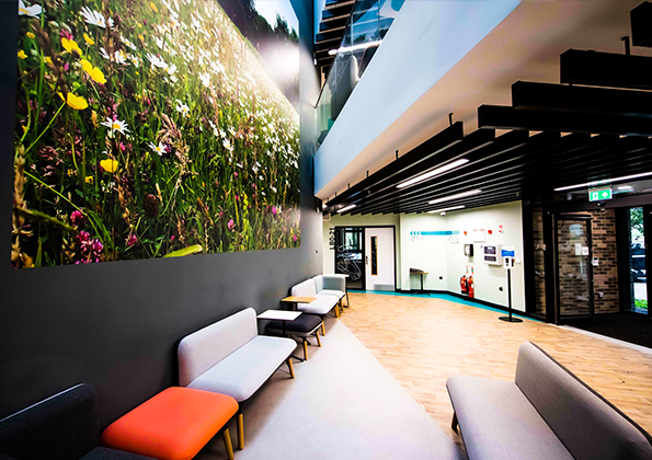 RioArchitects's tweet photo. Bringing nature indoors, Rio Architects was appointed as interior designers, for the fit-out of the new circa 2,072m2 2-storey Land Base building in Bridgend. 

Read more about this project here: https://t.co/nuSY1DJytI

Image Credit: Pinnacle Furniture

#interiordesign https://t.co/GZ36ruMfJa