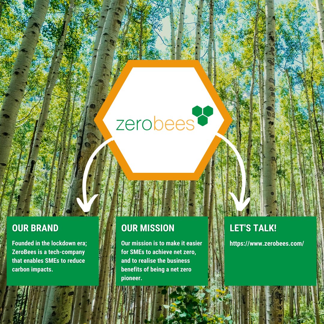 Zerobees tweet media