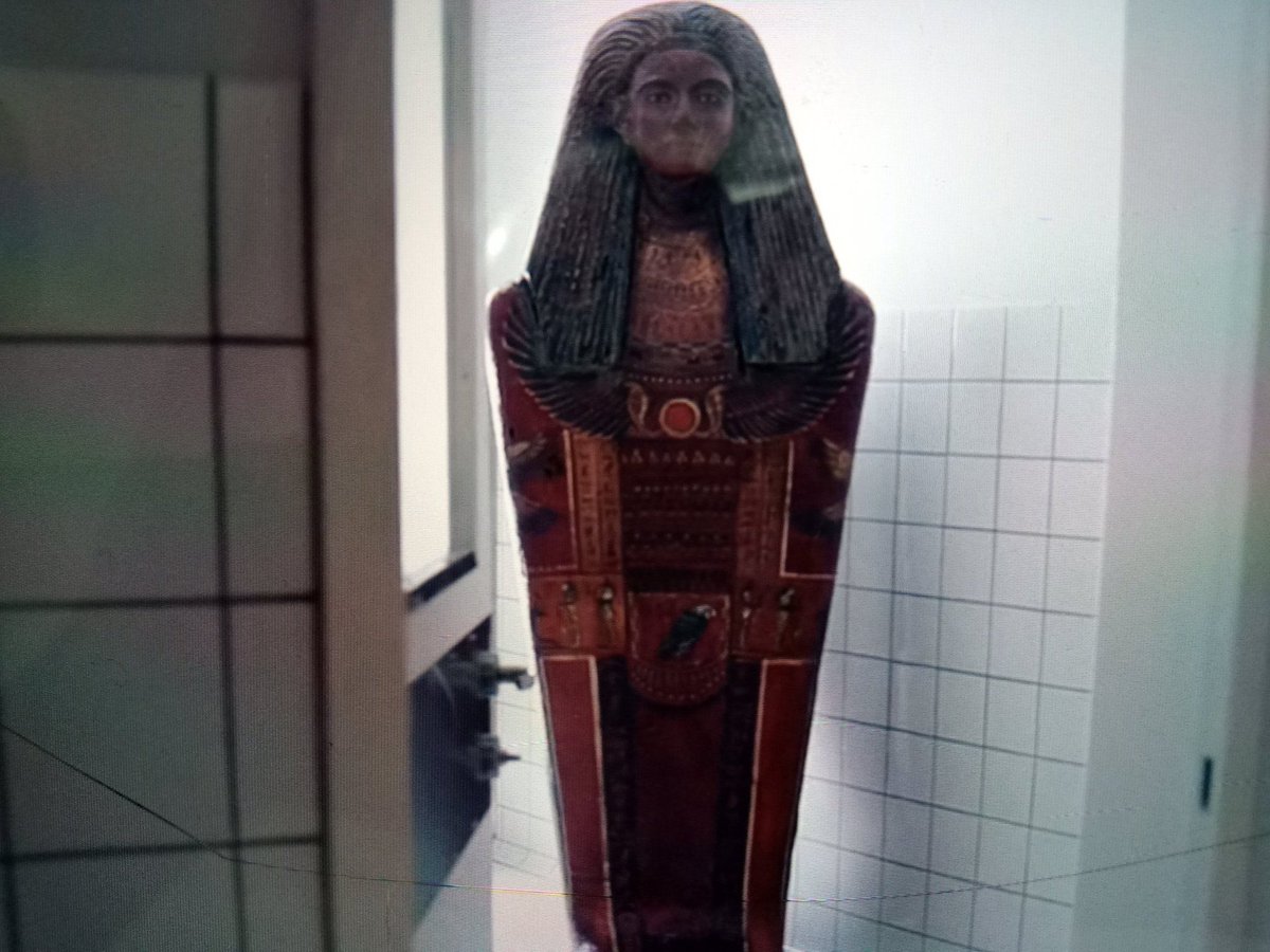 kiII4joy's tweet image. #FREEJAKE