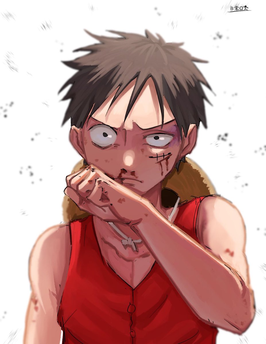 正面と横向きルフィ