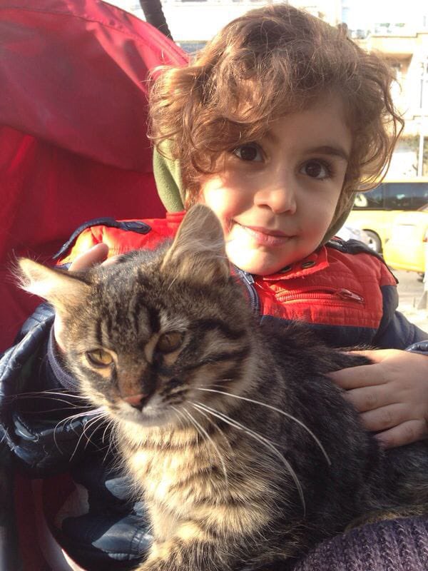 ethherif tweet media