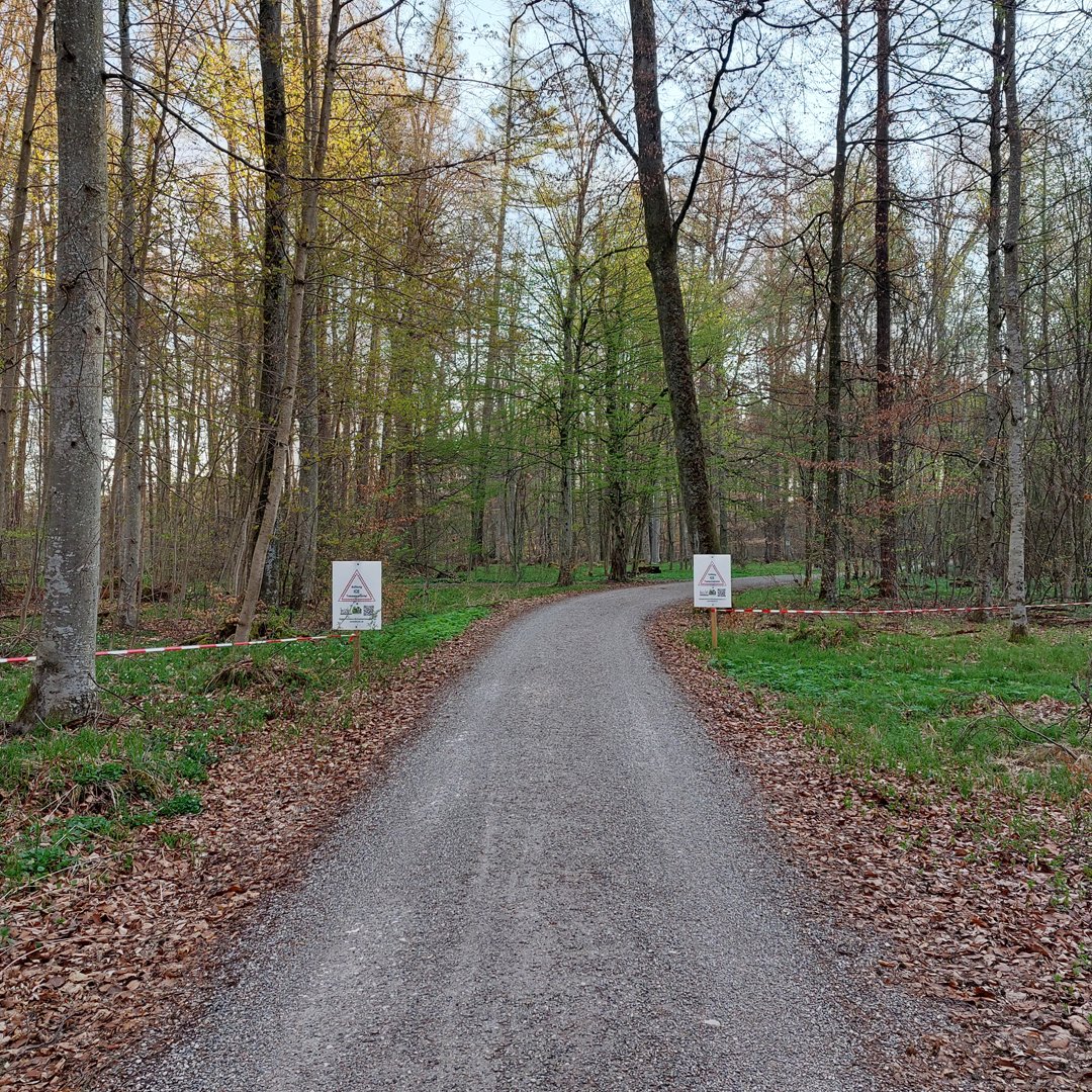 bischt_e.V (Bischt_eV) / Twitter