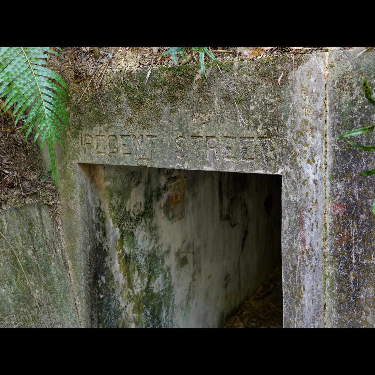 18DaysHK's tweet photo. 18 Day Battle of HK Shing Mun Redoubt, part of the 'Gin Drinkers Line' fortifications known as the Oriental Maginot Line. The enemy now is the elements; litchen,trees and shifting earth and animals.
#HongKong #18Days #warrelics #bunker #WW2 https://t.co/J1Z9dqcaPL
