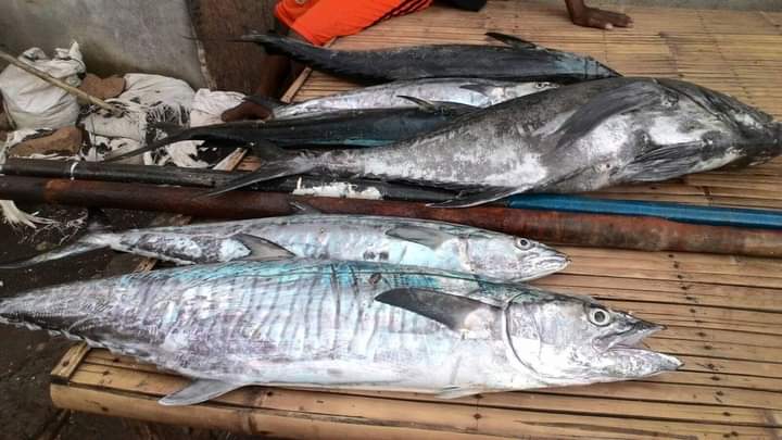 Adriani guhar tweet media