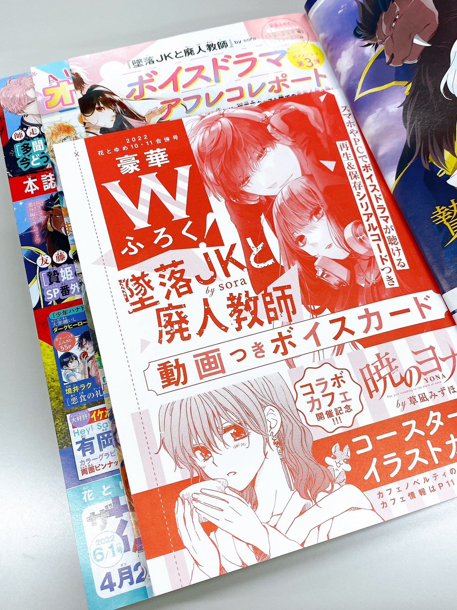 雪の豪奢 墜落JKと廃人教師 ドラマCD &ボイスカード 女性漫画