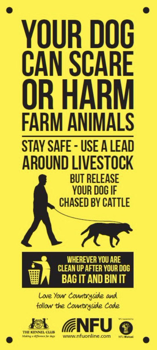 #FarmWatch | We are having reports of irresponsible owners letting their dogs off lead around live stock! Please don’t take the chance and keep your dog on a lead 🐶🐑 #RuralPolicing