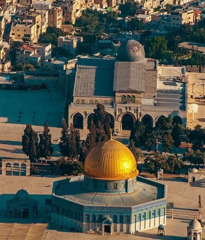 سلاما ع فلسطين حتي يطمئن فؤادها ❤🇵🇸