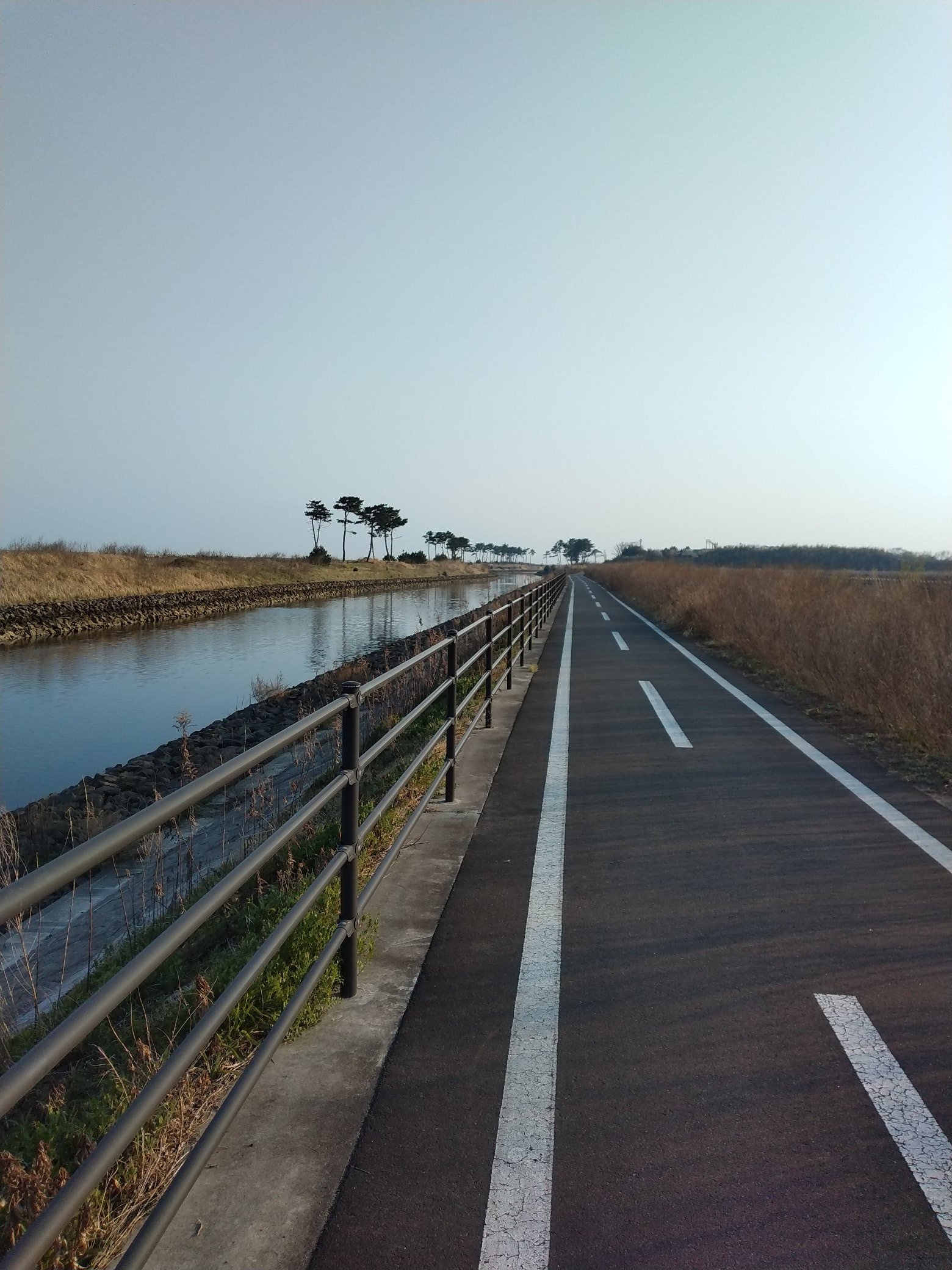 みちのく 潮風 トレイル 自転車