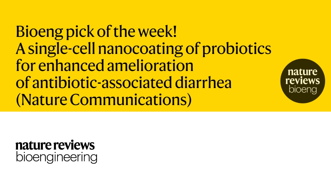 Bioeng pick of the week! A nanoarmor protects probiotics from the action of antibiotics @NatureComms by Junling Guo, Neel Joshi, Yaoyao Zhang et al @wyssinstitute @Northeastern @jeloshine go.nature.com/3EGeIFz