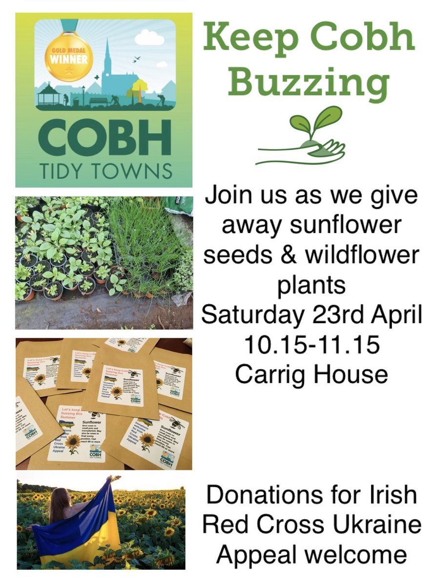 We’re doing it this weekend! Let’s turn Cobh yellow for Ukraine and Keep Cobh Buzzing. 🌻🌻🇺🇦🇺🇦@RyanTubridyShow #sunflowers #ukraine #redcross #tidytowns #cobh