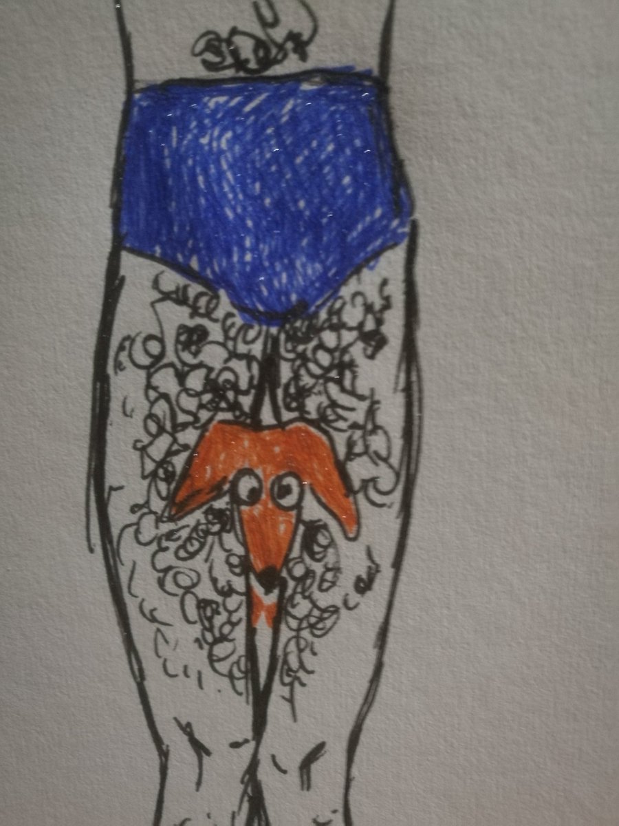 iibnf's tweet photo. #microdream an Indian man squishing his pet dachshund between his extraordinarily hairy thighs https://t.co/ZYXaTpYQXk