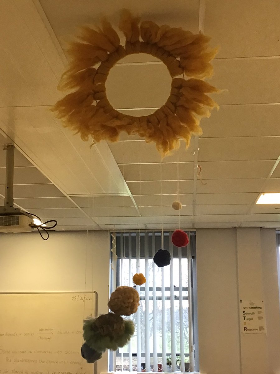 Roundhay Science tweet media