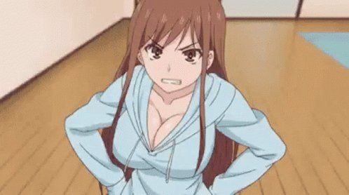 Overflow vai ser anime