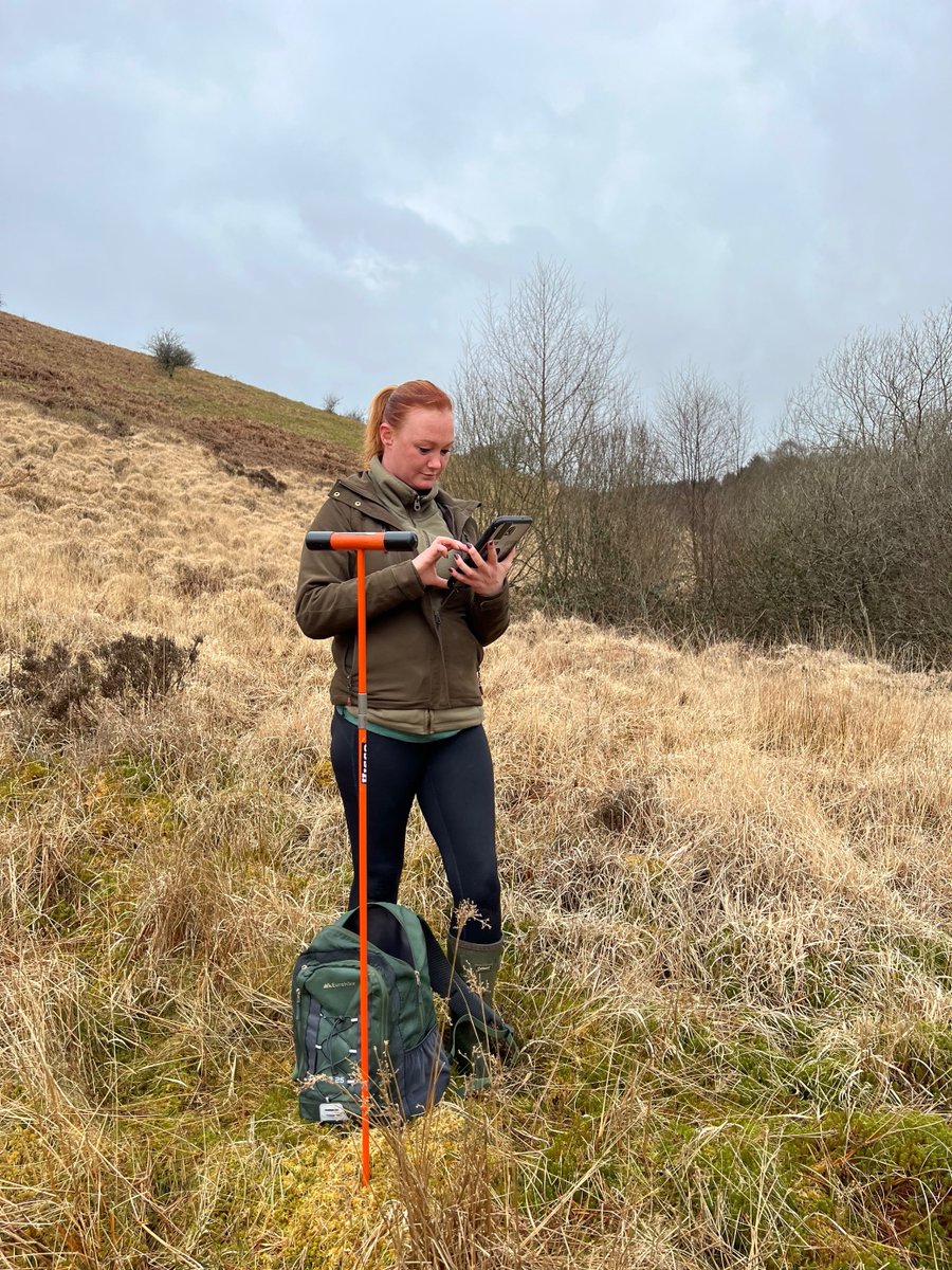It’s a great day to be out undertaking Peat Probing in the Welsh Hills. The team are excited to be using our new mobile GIS tool, which will allow our GIS team to work with data more efficiently by reducing processing time. #Ecology #GIS